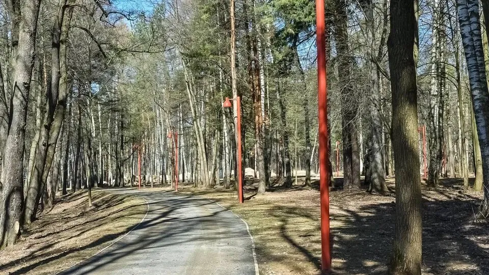 Фото: пресс-служба администрации г.о. Балашиха