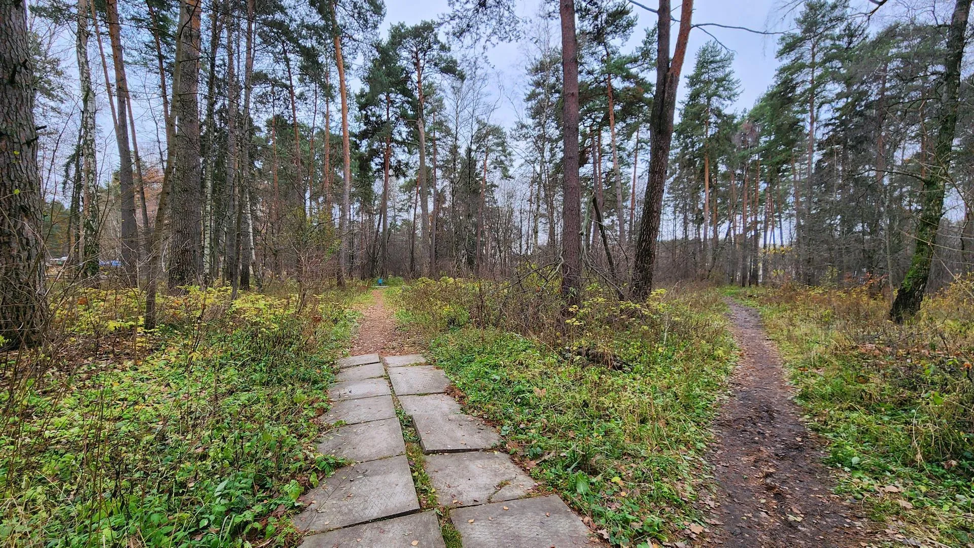 Фото: Анна Мороз