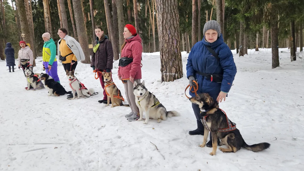 МедиаБанк Подмосковья/Ольга Вельшикаева