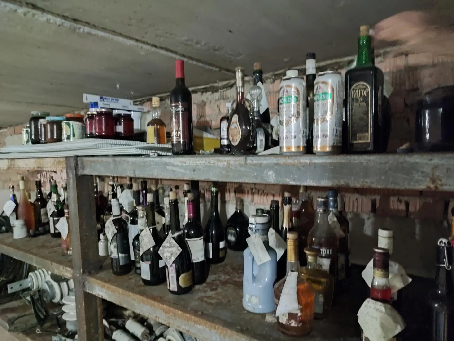 Фото: Анастасия Калмыкова