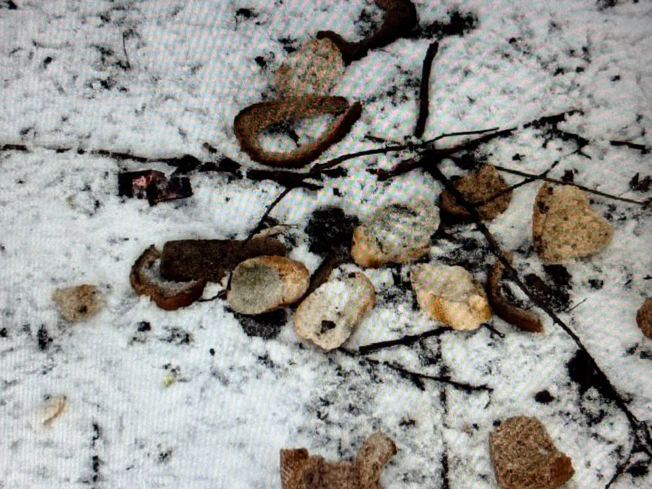 Фото: REGIONS&nbsp;