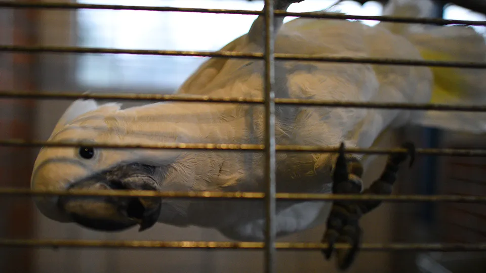 Фото: медиасток.рф