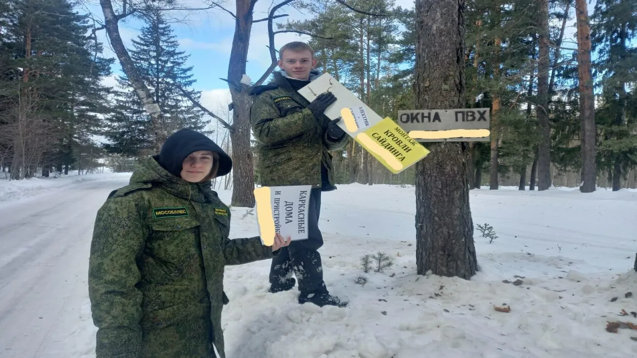 Фото: Комитет лесного хозяйства Подмосковья
