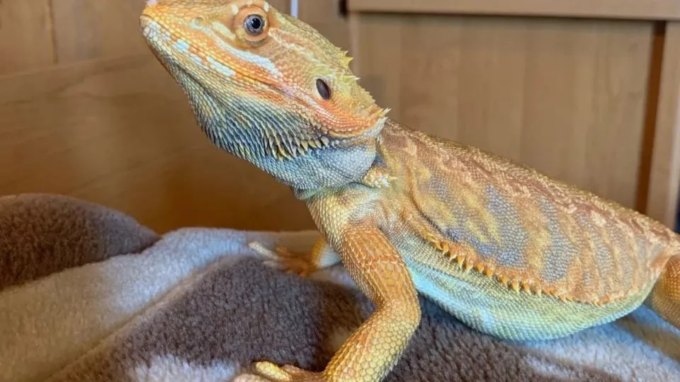 Фото: личный архив Юлианы Рыжковой