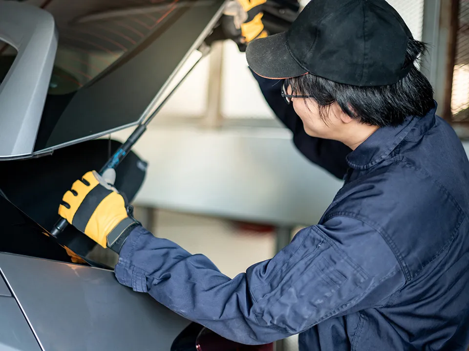 Фото:  istockphoto.com/Zephyr18