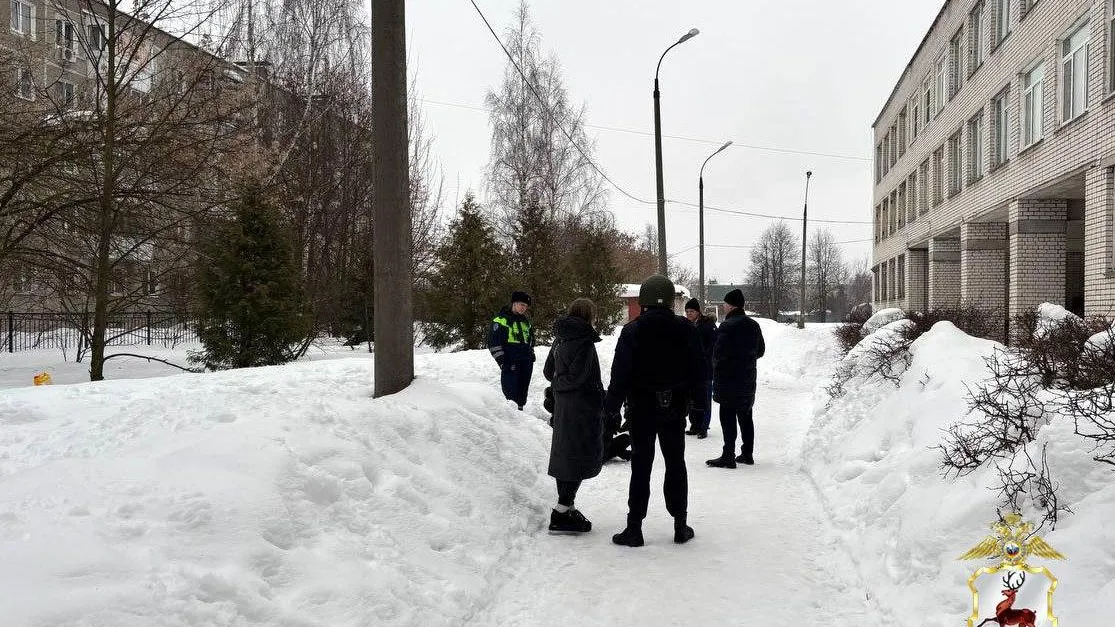 МВД по Нижегородской области