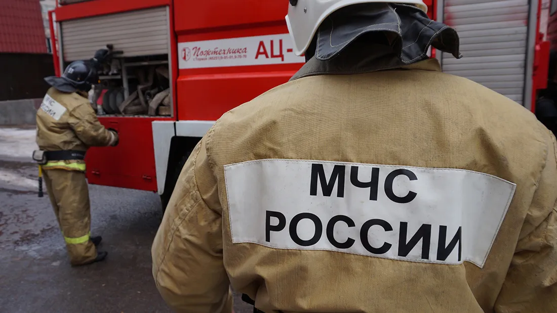 Фото: Медиасток Подмосковья
