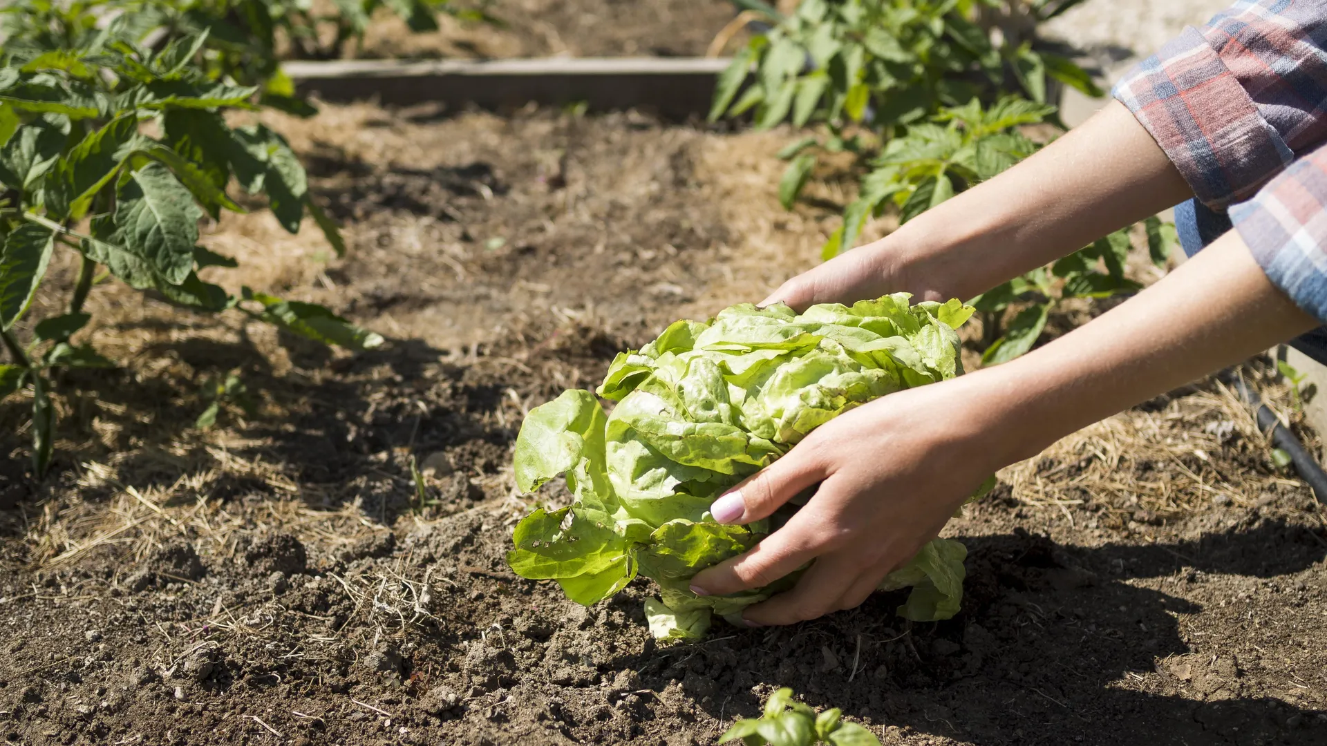 Фото: freepik.com