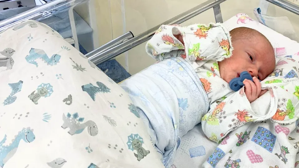 Фото: МедиаБанк Подмосковья/Ирина Мальцева