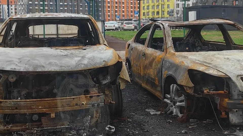 Фото: администрация Ленинского городского округа