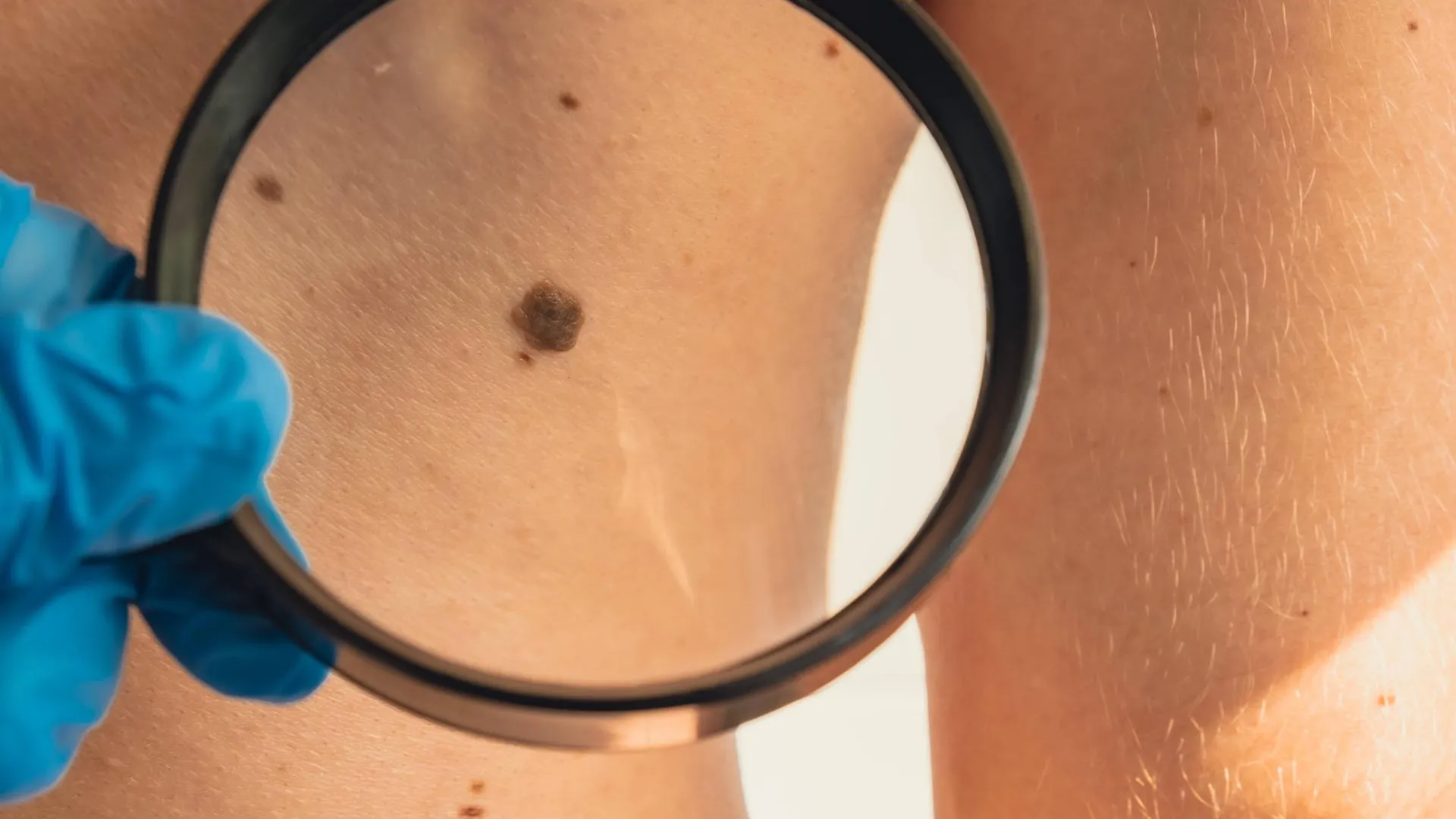 IMAGO/Zoonar.com/Anastasiia Yani