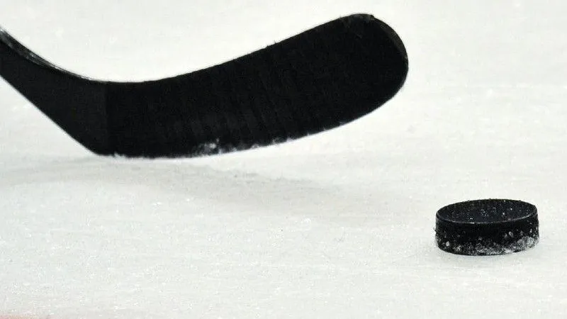 Игроки НХЛ и КХЛ сыграют в Балашихе