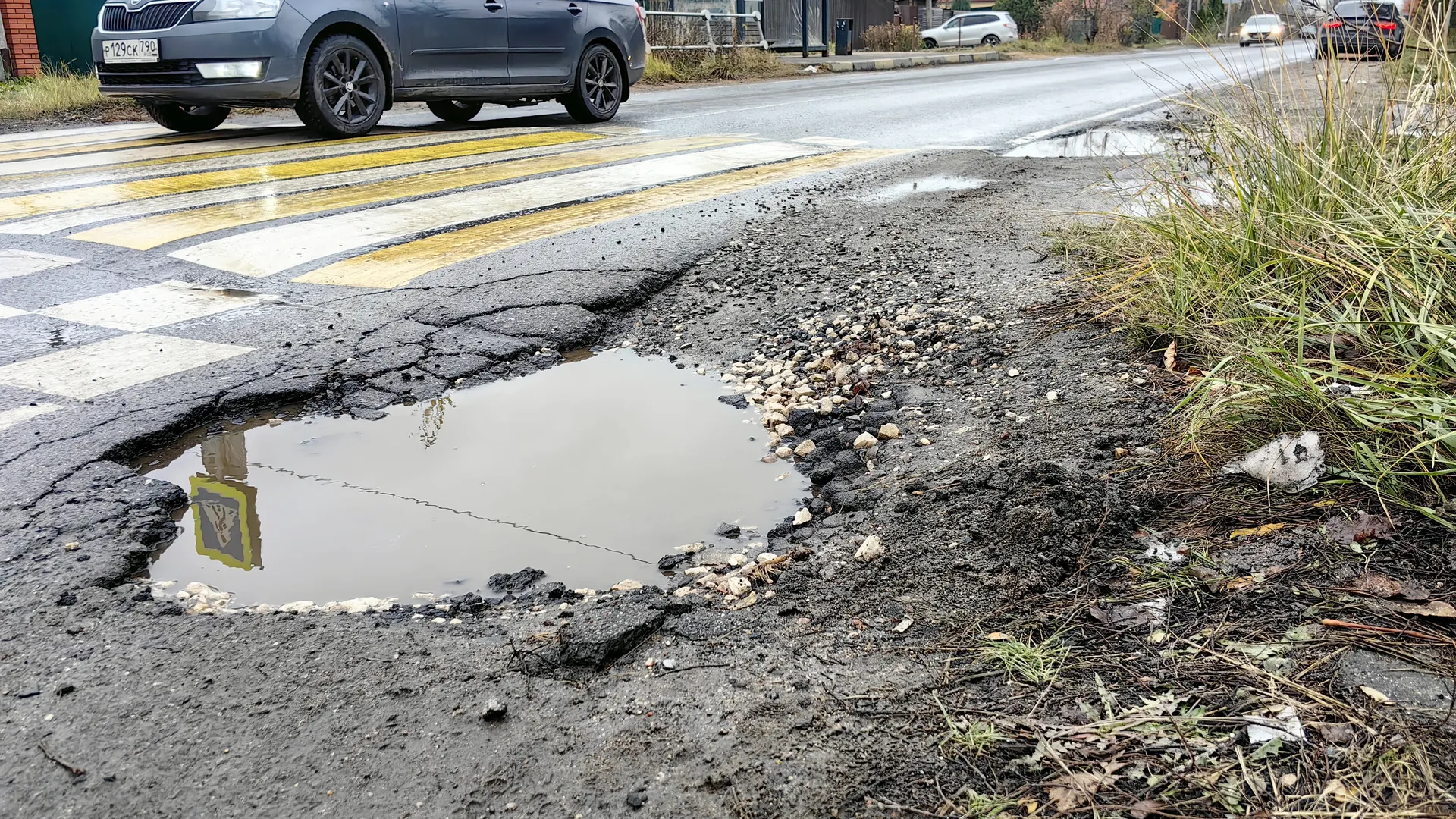 Фото: МедиаБанк Подмосковья/Елена Катасонова