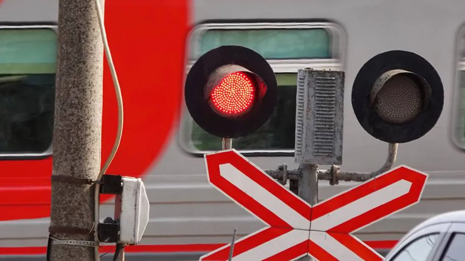 Фото: МедиаБанк Подмосковья/Дарья Леонова