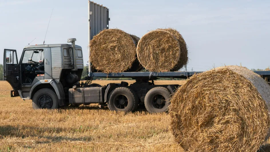 Фото: медиасток.рф