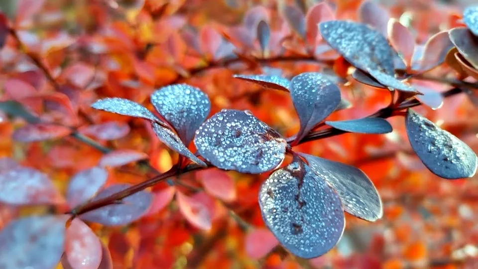 Фото: REGIONS/Алексей Селиверстов