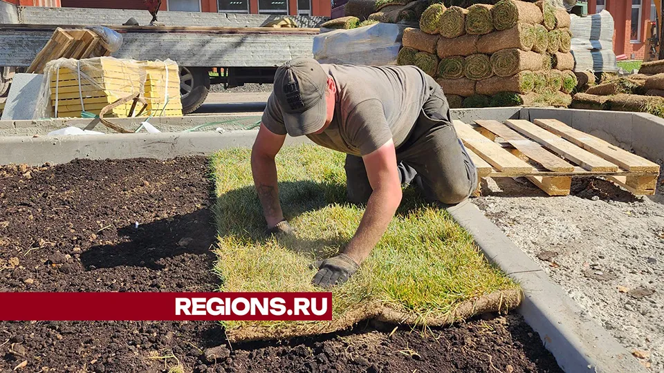 Фото: Дмитрий Беденко