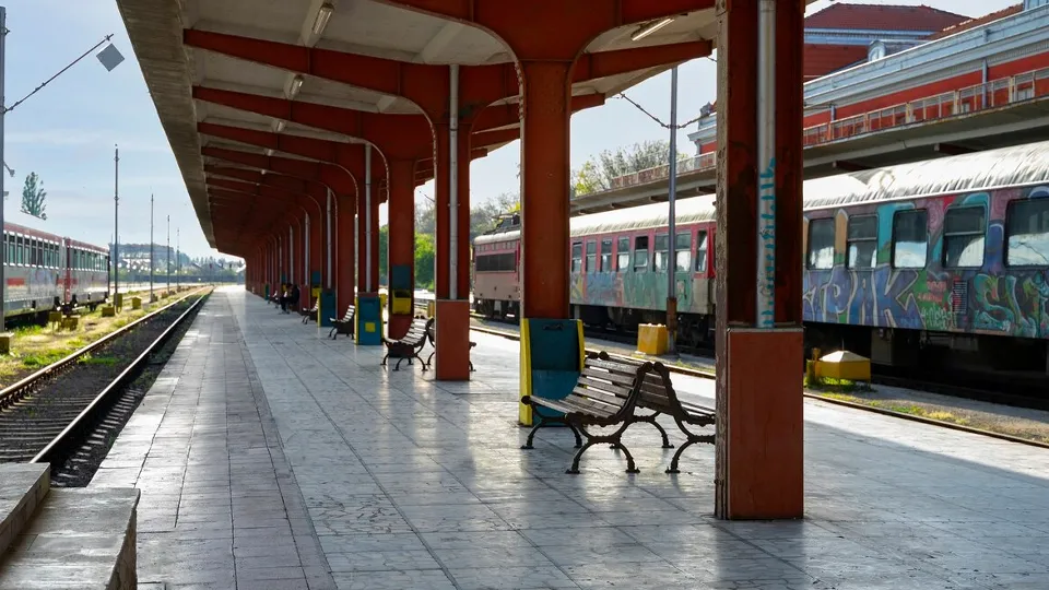 Фото: freepik.com