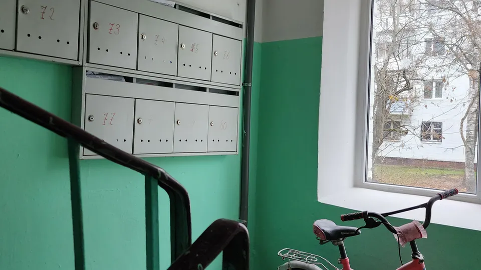 Фото: МедиаБанк Подмосковья/Андрей Алекин