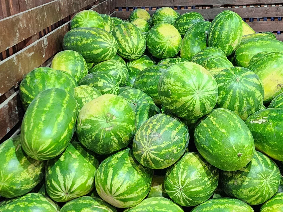 Фото: Максим Сафронов