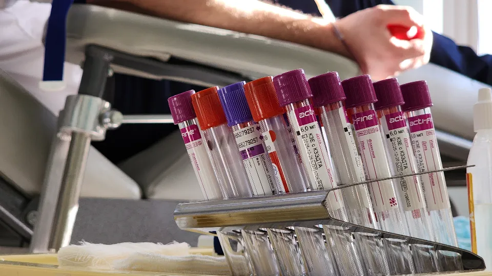 Фото: МедиаБанк Подмосковья/Юлия Андросова