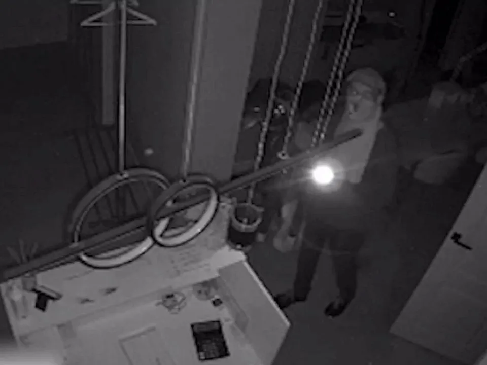 Фото: управление МВД РФ по Московской области<br>