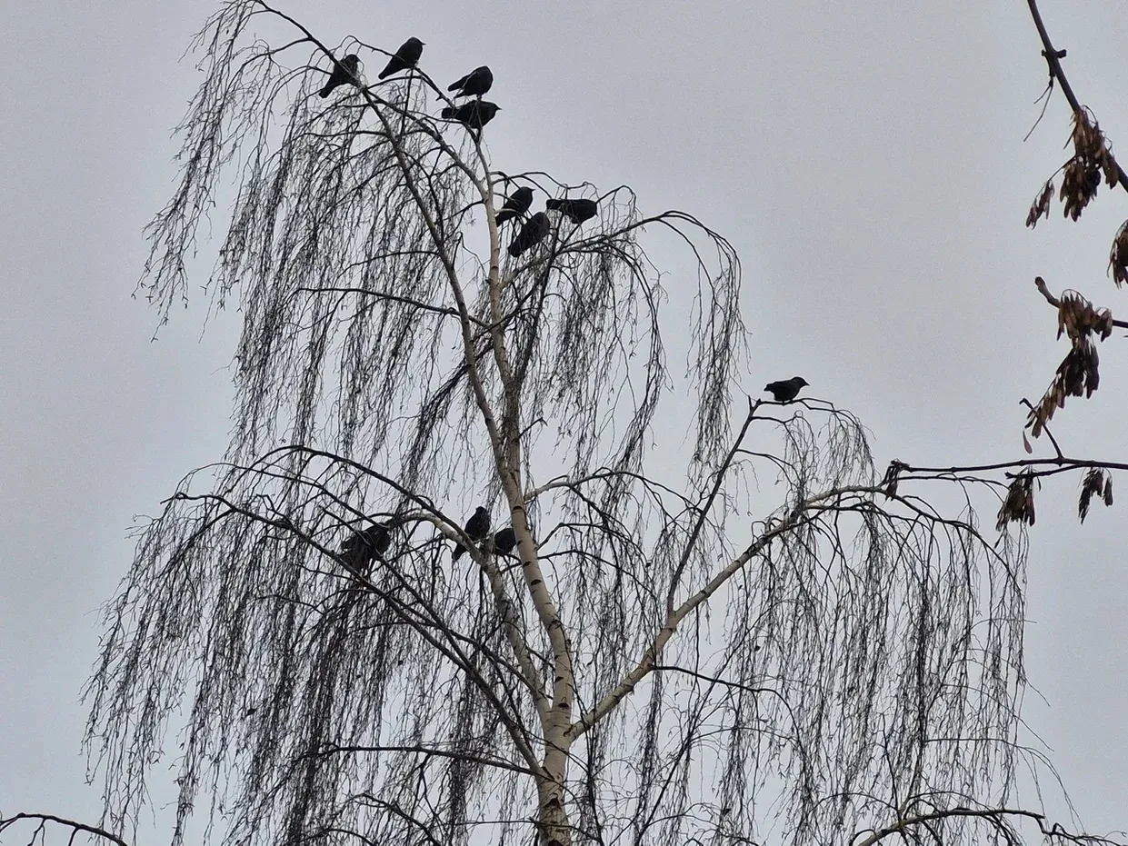 Фото: REGIONS/Наталия Надточая