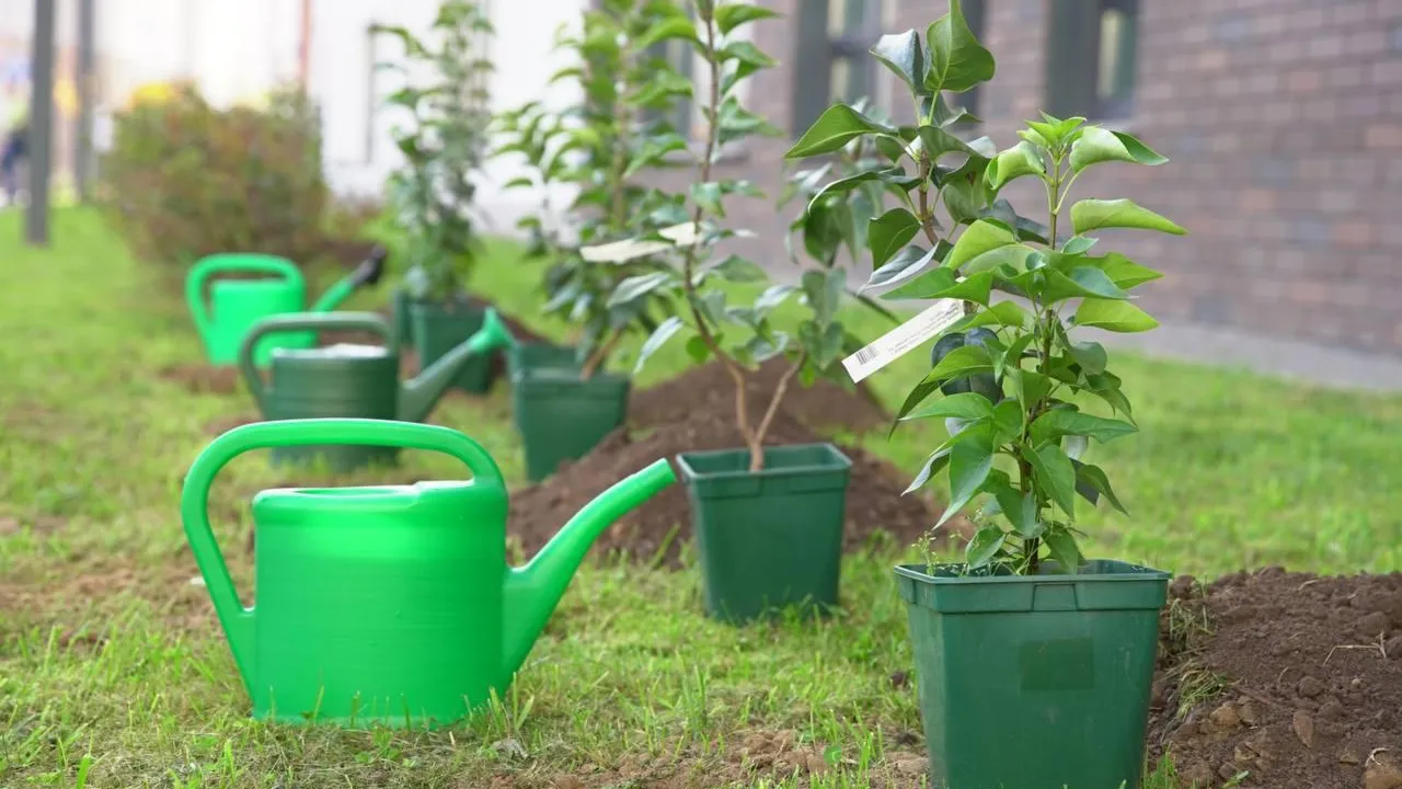 Станислав Свечников