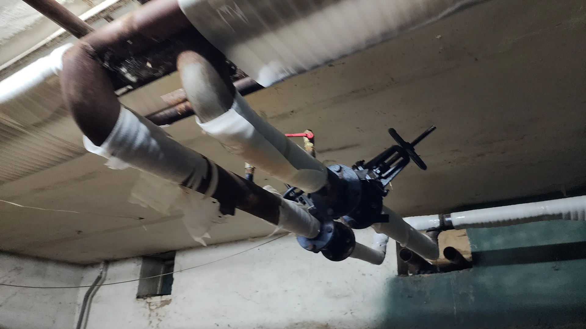 Фото: МедиаБанк Подмосковья/Екатерина Данилина