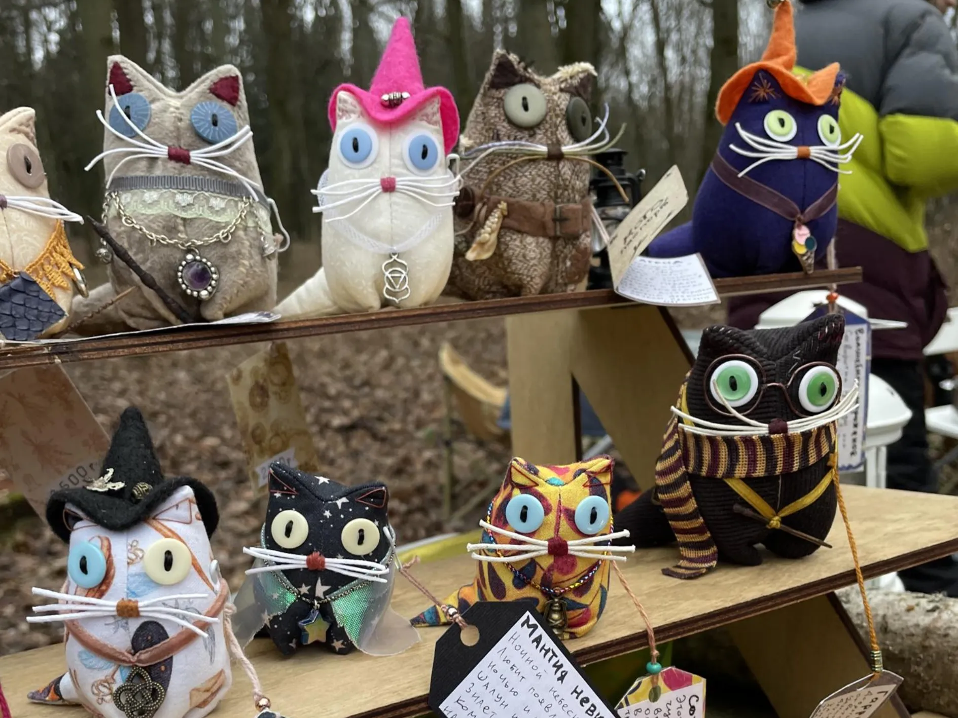 Фото: Раменский медиацентр