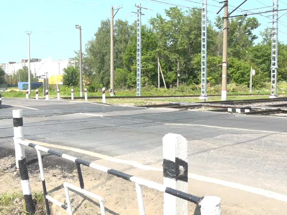 Фото: Раменский медиацентр