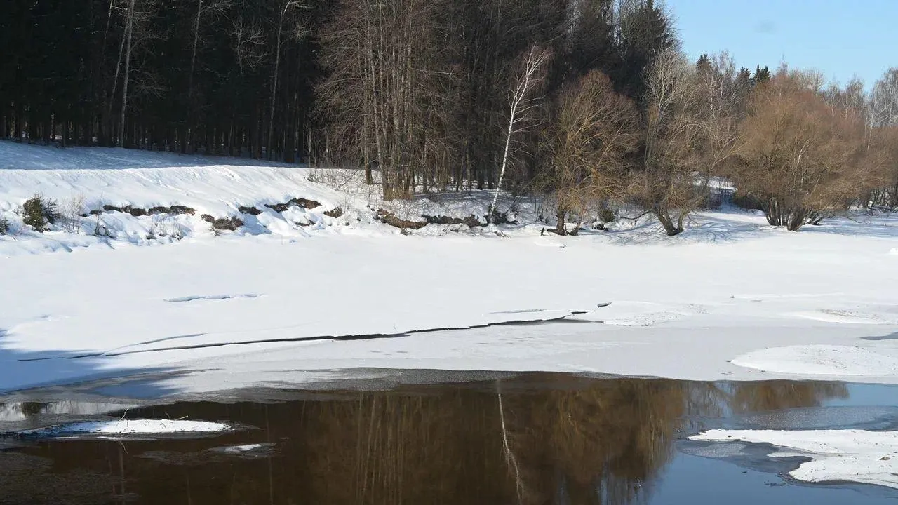 REGIONS/Наталья Надточая