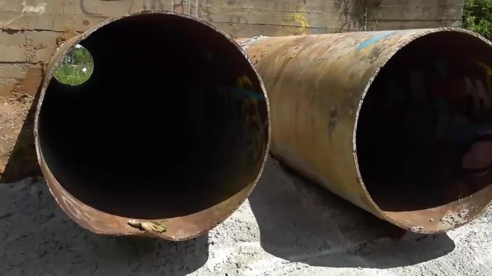 Фото: пресс-служба администрации м. о. Чехов