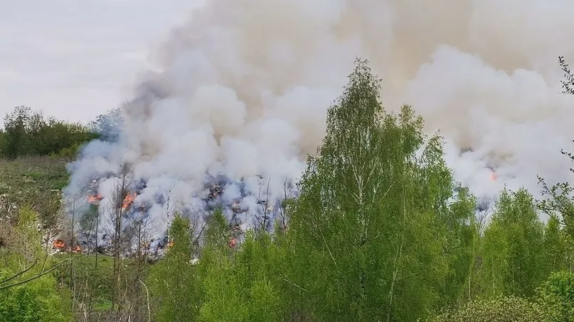 Фото: t.me/vestisofino