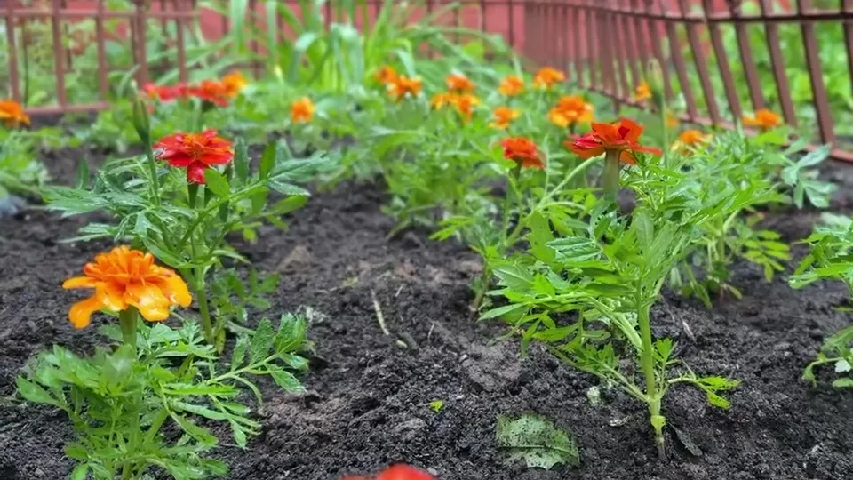 Фото: Ксения Казакова