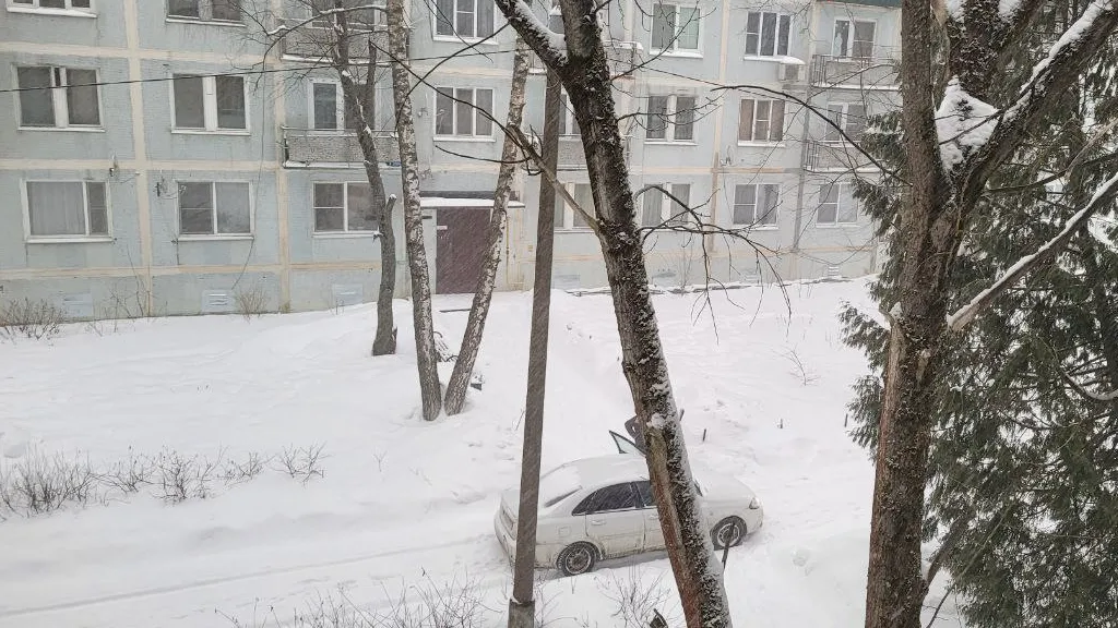 Фото: Юлия Григорьева