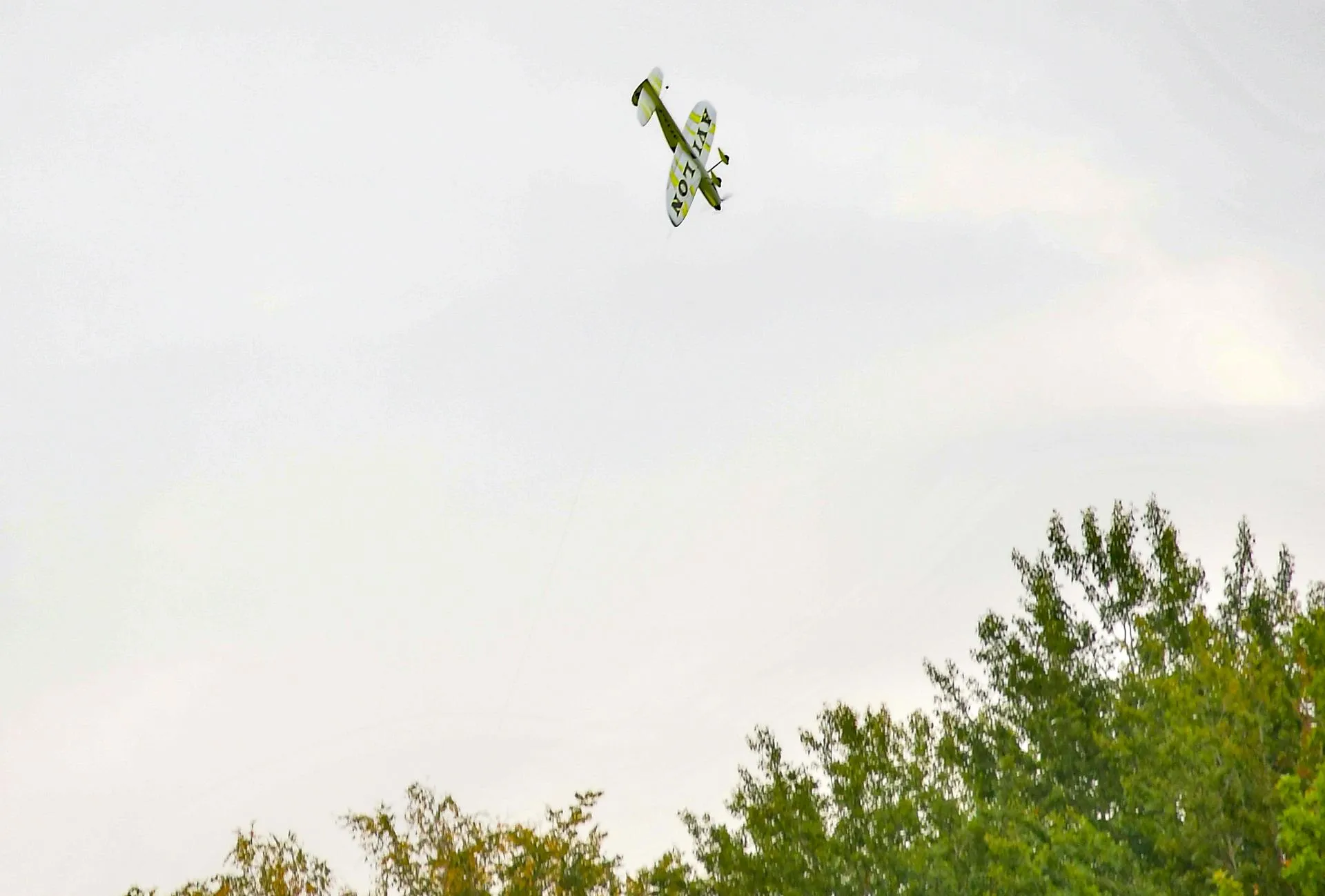 Фото: Наталья Бычкова/Ступинская панорама