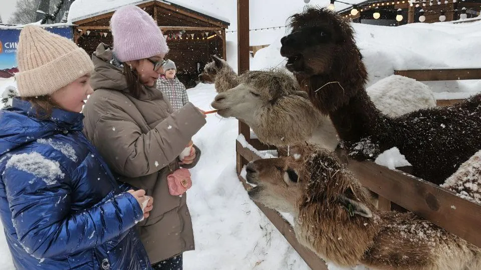 семейный центр «Доверие»