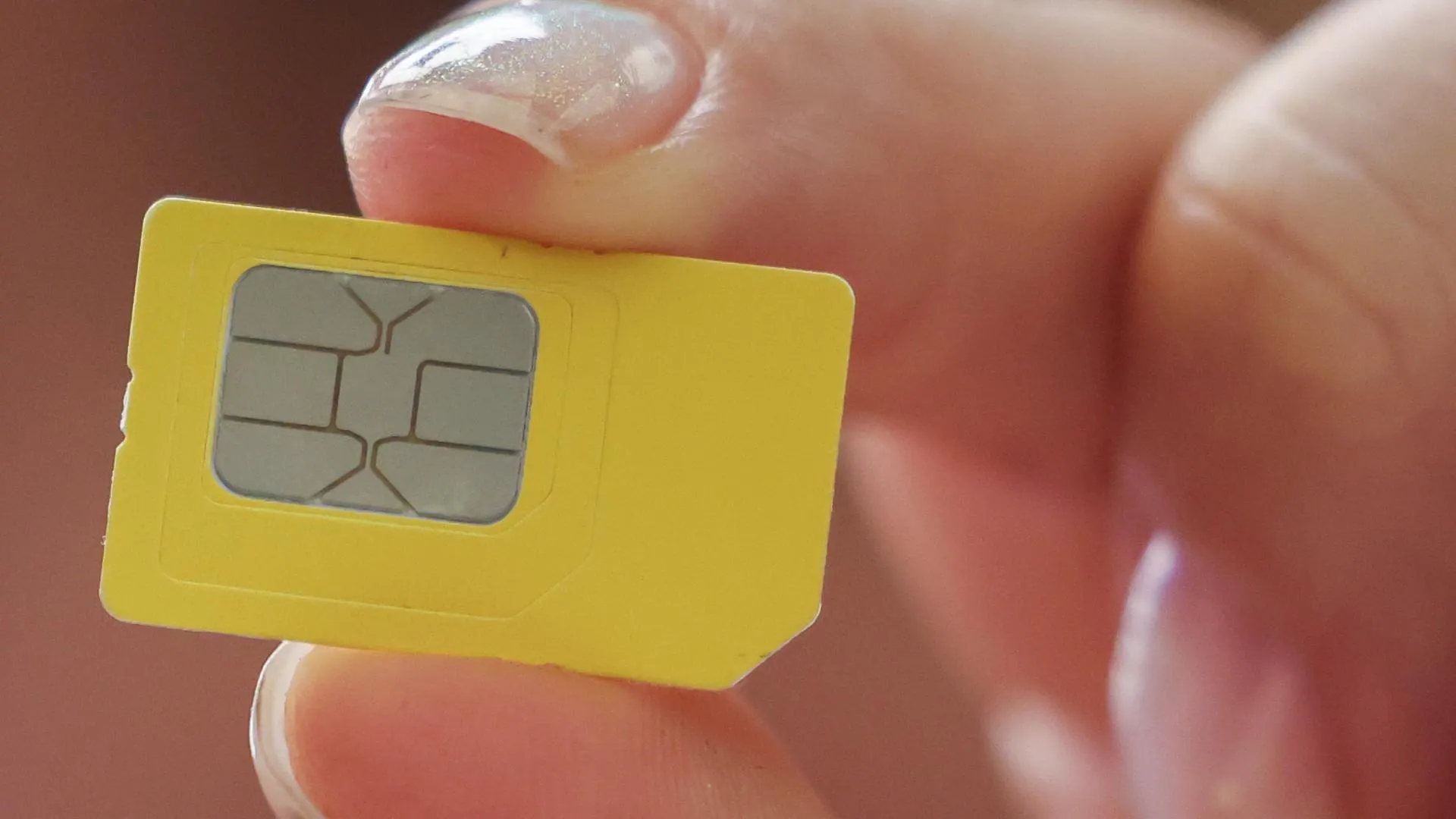 Belkin Alexey/news.ru