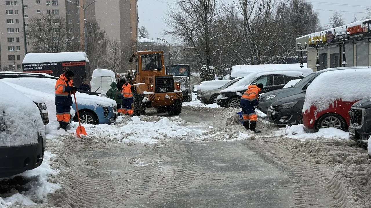 REGIONS/Кристина Тришина