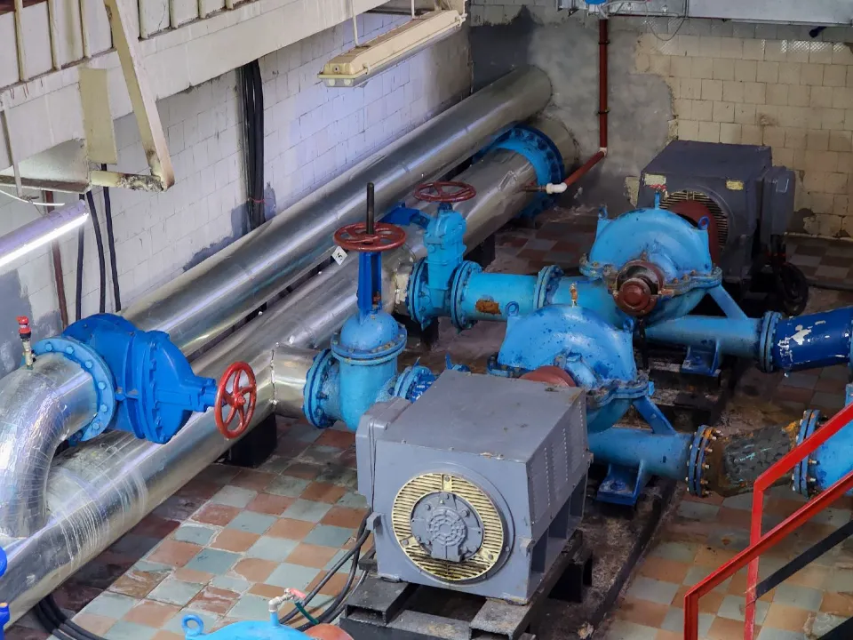 Фото: МедиаБанк Подмосковья/Мария Андрюхина