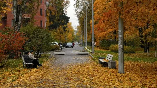 Алексей Даничев / РИА Новости