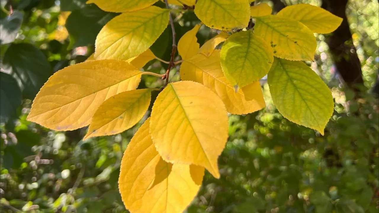 Фото: REGIONS/Татьяна Кордюкова