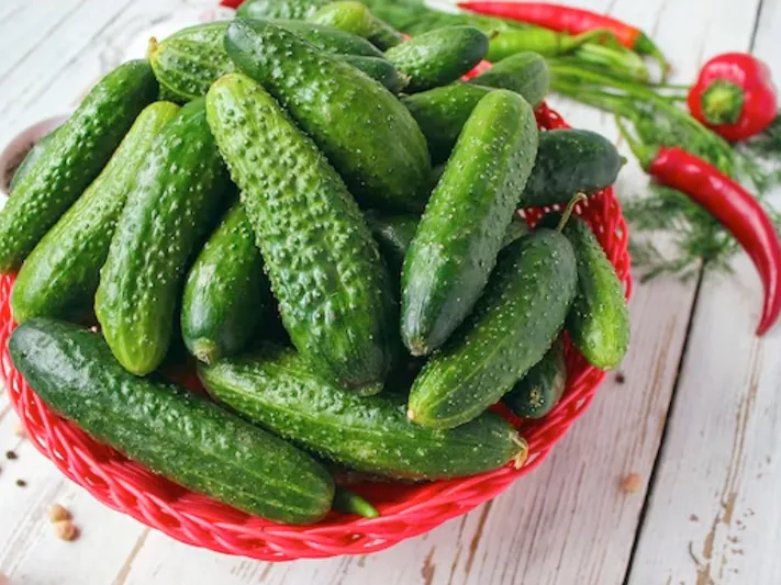 Выяснилось, из-за чего подорожали огурцы в России, и виноваты ли в этом землетрясения в Турции