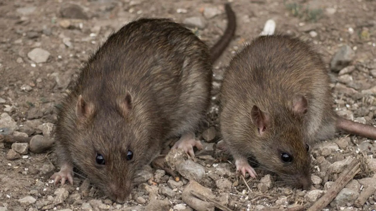 istockphoto.com/Victorburnside