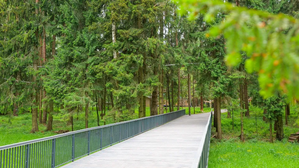 Фото: Министерство культуры и туризма Московской области