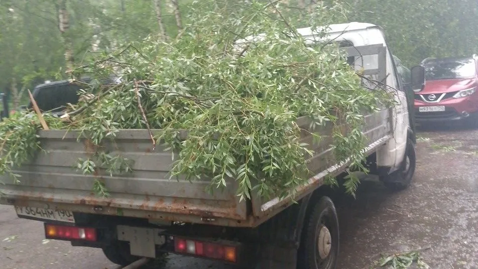 Фото: администрация Краснознаменска