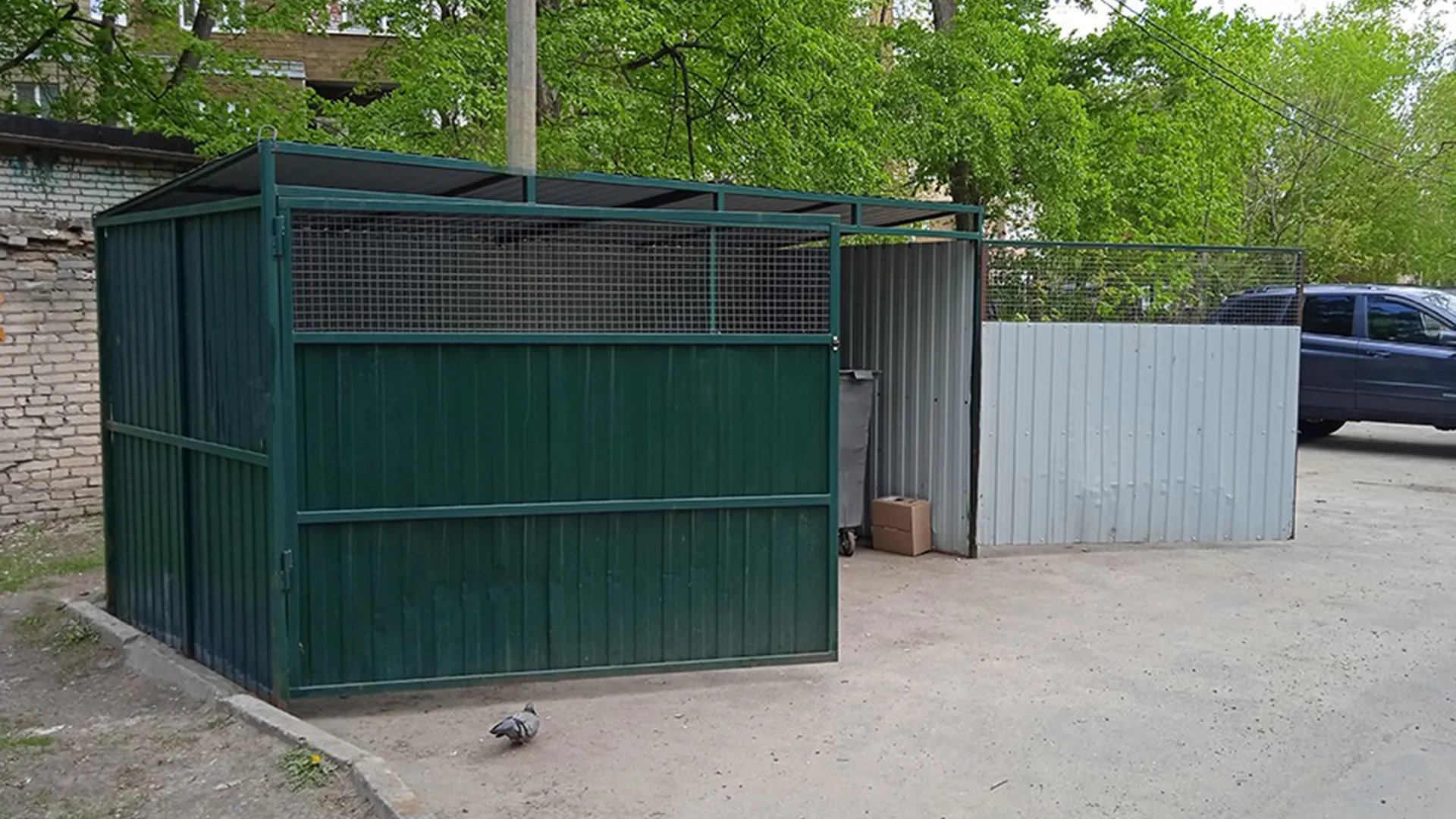 Фото: МедиаБанк Подмосковья/Дмитрий Павлов