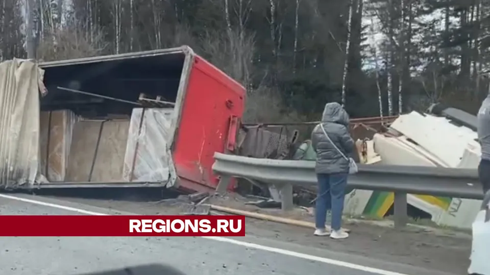 Фото: Алена Мельникова