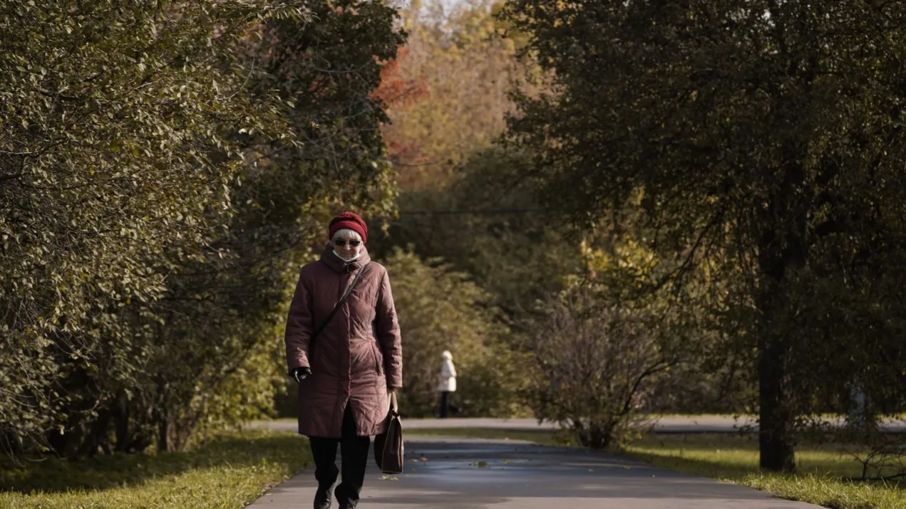 Фото: медиасток.рф